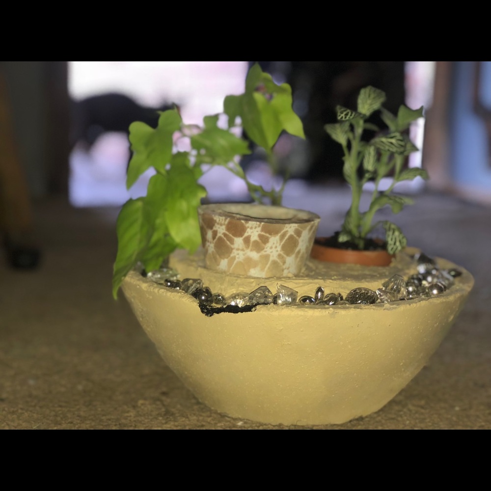 Candle holder and plant holder (Not for sale)